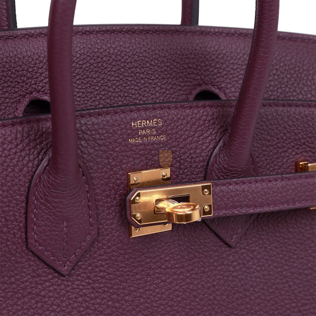 H**mes birkin 25 cassis togo gold hardware (25cm)