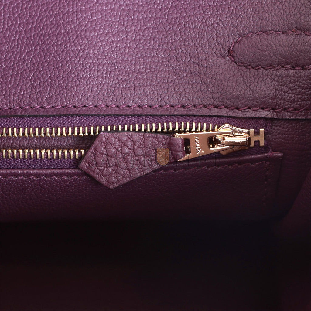 H**mes birkin 25 cassis togo gold hardware (25cm)